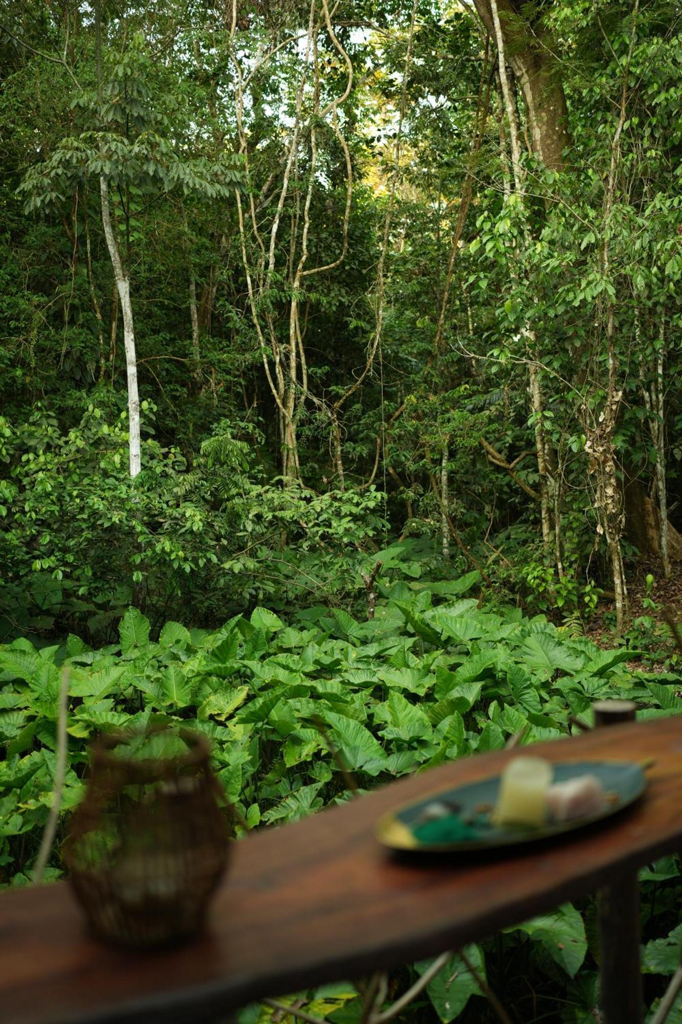 Awaken Amazonian Healing Resort All Inclusive Iquitos Exterior photo